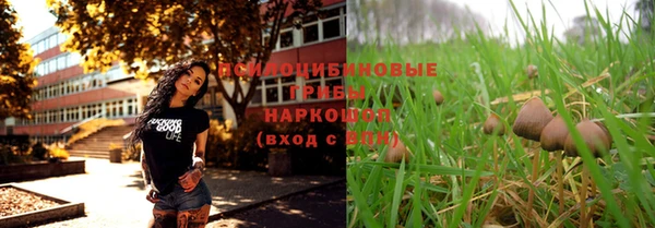 гидропоника Алексеевка