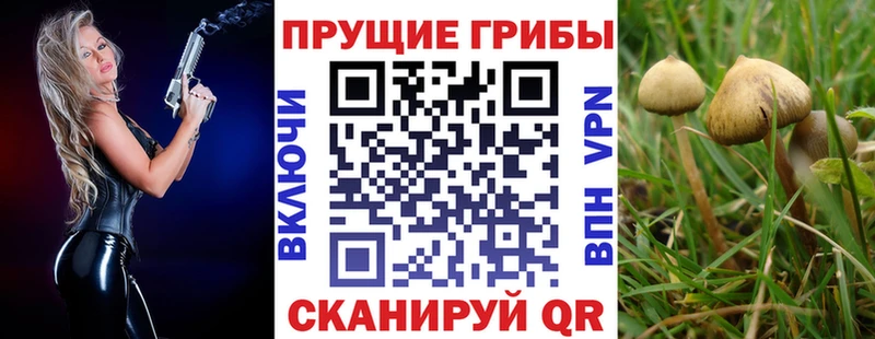 Галлюциногенные грибы Psilocybe  kraken рабочий сайт  Шадринск 